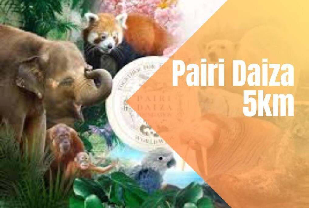 Charmant Logement Brugelette Proche De Pairi Daiza Exteriér fotografie